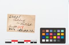 Etikett zu Bronzeknopf (NHMW-PRAE-024635)